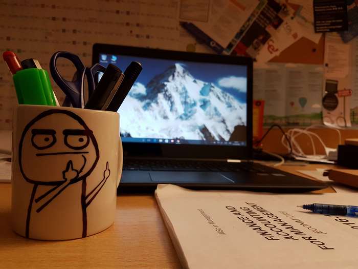 Meme Coffee Mug and Study Setup with Laptop