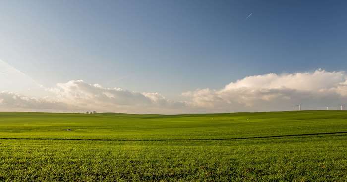 Green agricultural field under a cloudy sky with wind turbines
