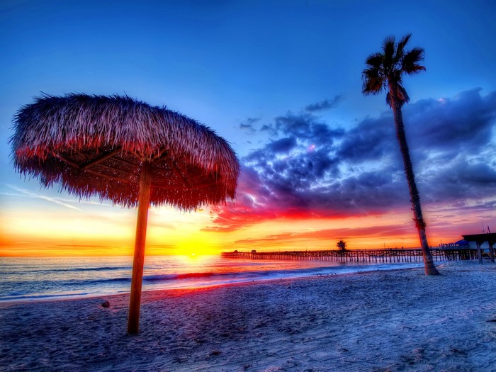 Beach at sunset with palm tree and pier