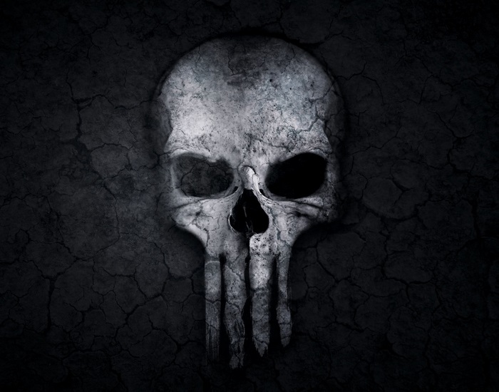 The Punisher Skull Artwork