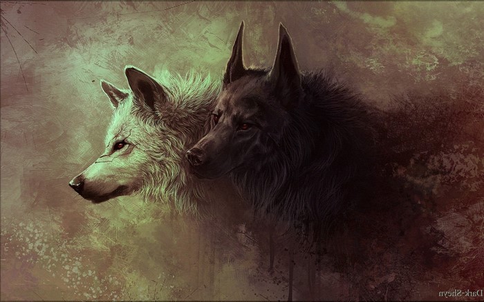 Digital art of two wolves, one white and one black