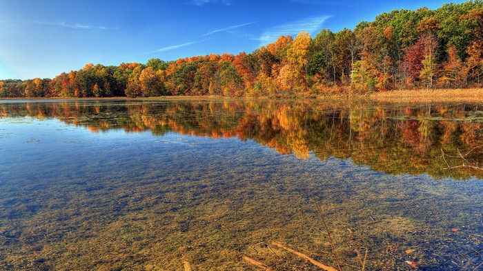 Autumn trees reflected in a clear lake