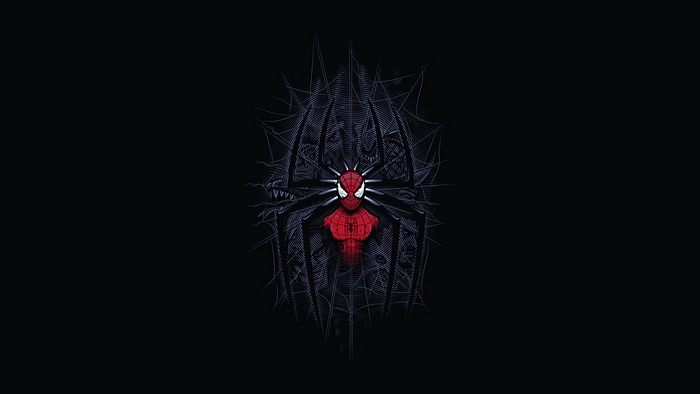 Spider-Man artwork with spider web