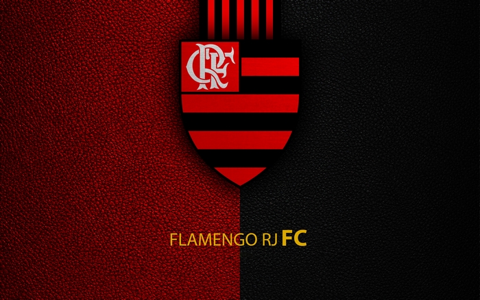 Flamengo RJ FC Logo on Textured Background