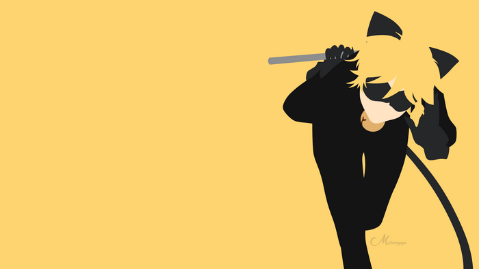 Cat Noir from Miraculous Ladybug