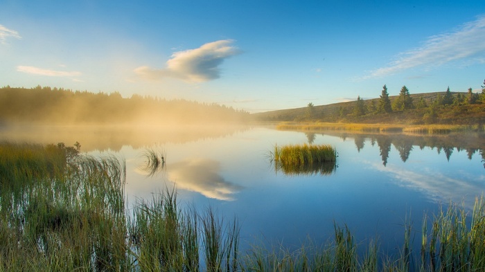 Misty lake at sunrise with tall grass