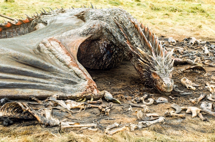 Drogon Resting Among Bones in Game of Thrones