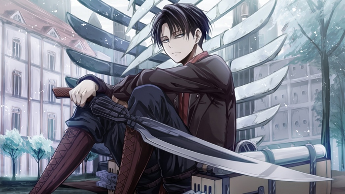 Levi Ackerman from Attack on Titan with Swords