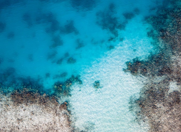Aerial view of a coral reef and turquoise ocean water