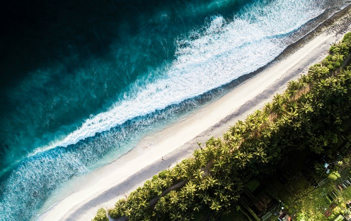 Aerial view of a tropical beach with palm trees and ocean waves