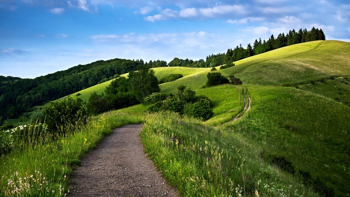 Serene Green Hills and Forest Pathway