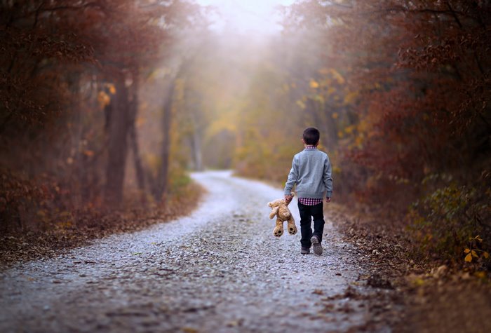 Child Walking Alone on Forest Path with Teddy Bear