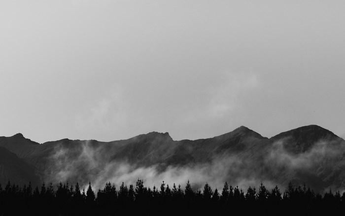Foggy Mountain Range with Pine Tree Silhouettes in New Zealand