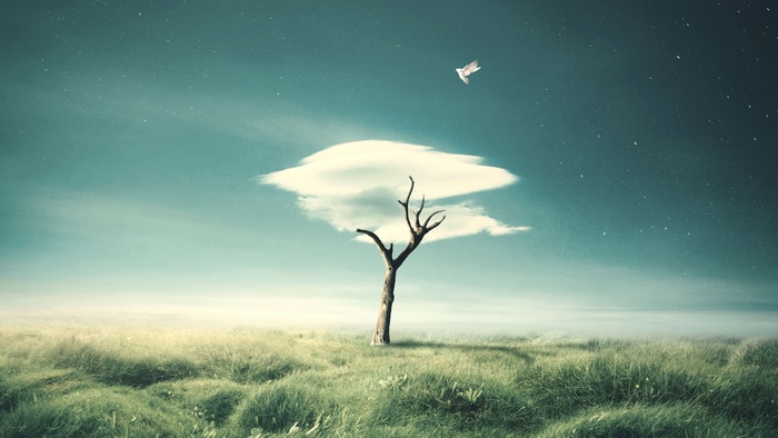 Surreal landscape with a dead tree and a bird