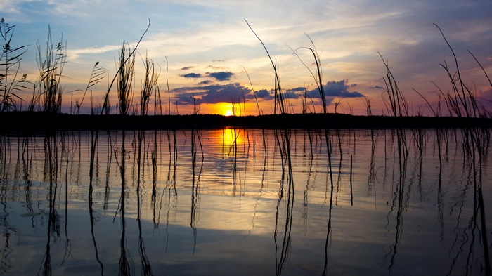 Sunset over a lake with reeds and reflections