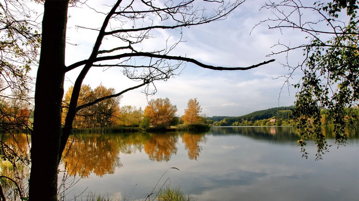 Autumn trees reflected in a calm lake