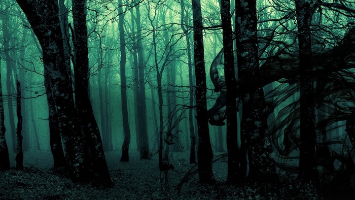 Dark and eerie forest with ghostly figures