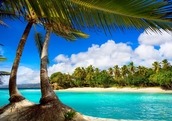 Tropical beach with palm trees and turquoise ocean