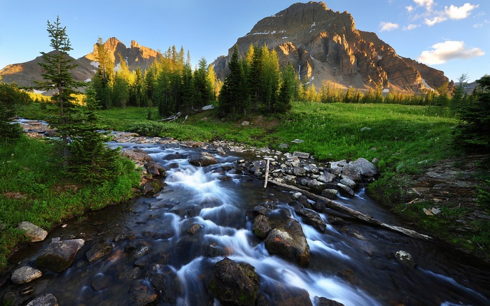 Mountain stream flowing through a meadow with trees and mountains
