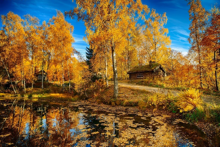 Autumn Landscape with Lake and Rustic Houses in Norway
