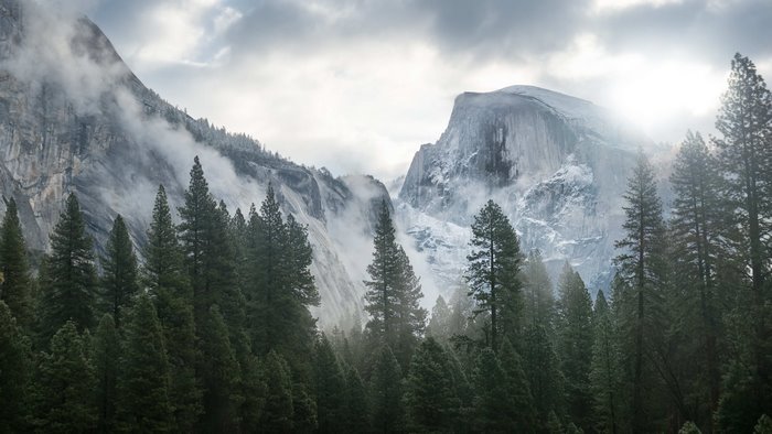 Foggy Yosemite Valley with Half Dome and Pine Forest
