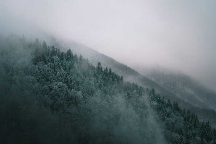 Misty winter forest on a foggy mountain slope