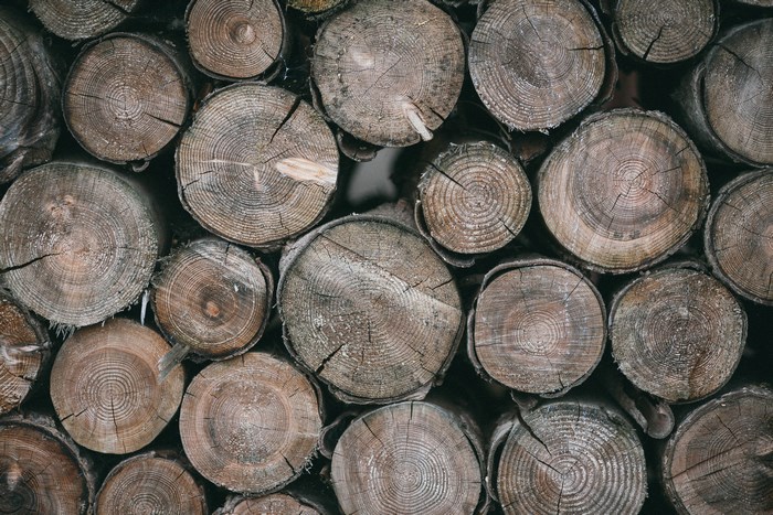 Stack of cut logs with visible rings