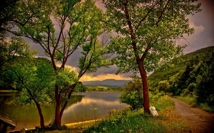 Trees by a lake with mountains in the distance