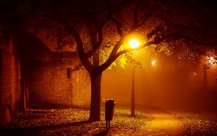 Foggy Autumn Night in a Park with Lamp Posts