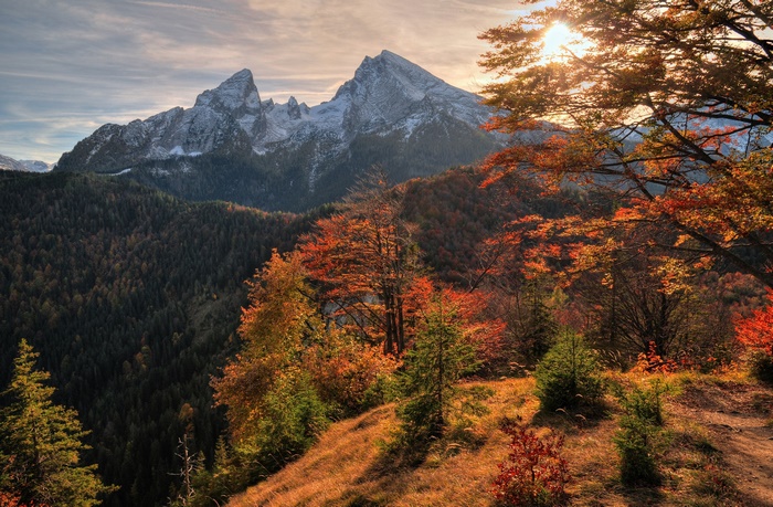 Autumn mountain landscape with trees