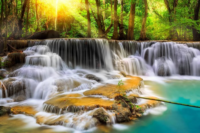 Waterfall cascading through a lush green forest with sunlight