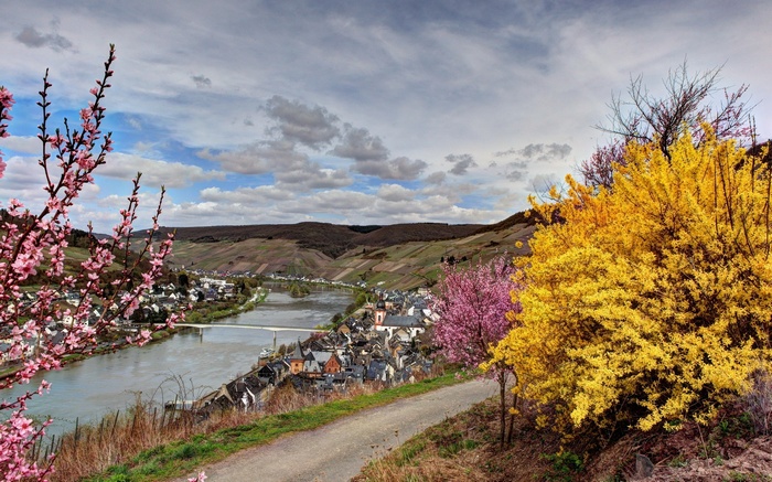 Village by a river with blooming trees