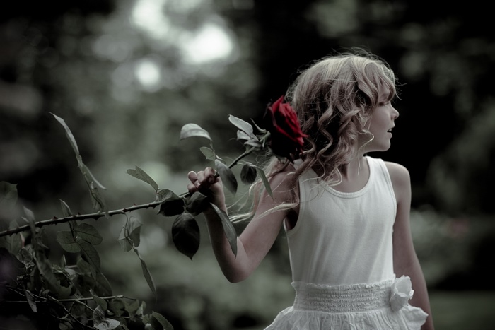 Girl holding a red rose in a garden