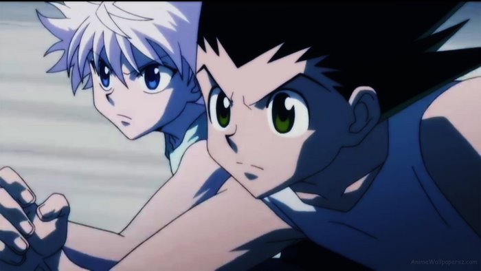 Gon and Killua from Hunter x Hunter