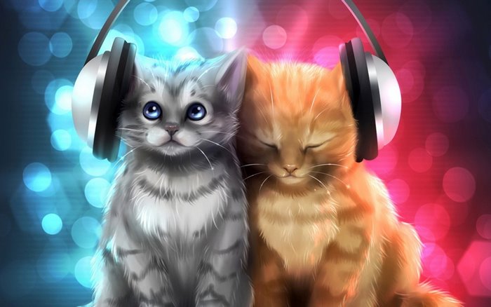 Two kittens wearing headphones with bokeh background