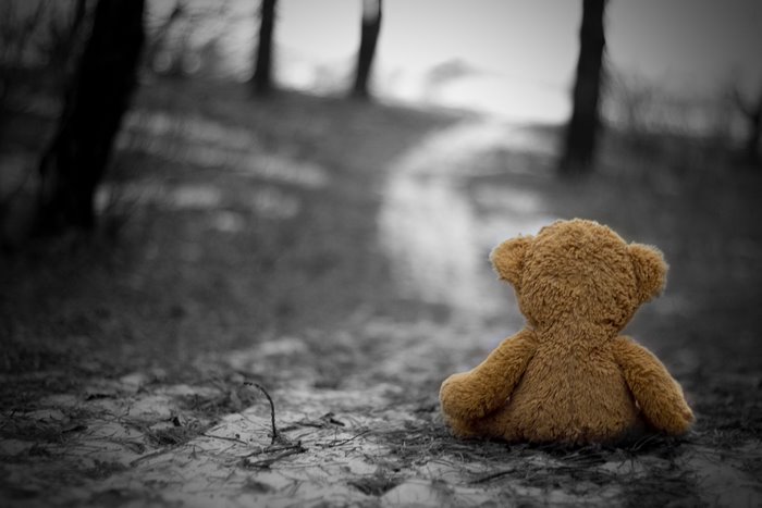 Teddy bear sitting alone on a path in a forest