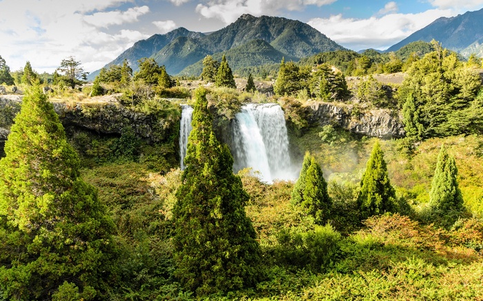 Waterfall cascading down a rocky cliff surrounded by trees