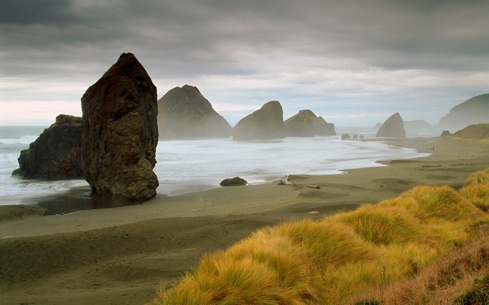 Rocky coastline with sea stacks and tall grass