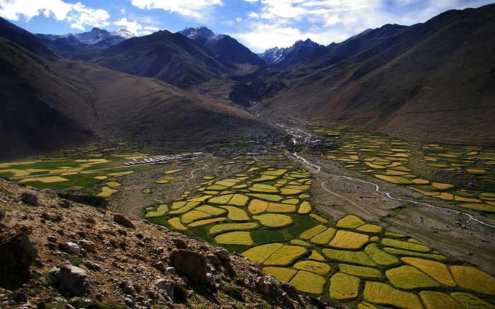 Terraced fields in a mountain valley