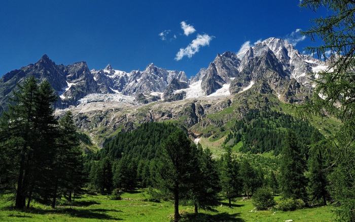 Snow-capped mountains and green forest under blue sky