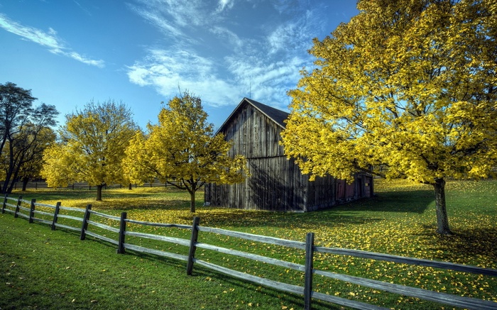 Barn and autumn trees with wooden fence