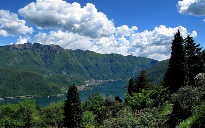 Lake and mountains with trees in the foreground