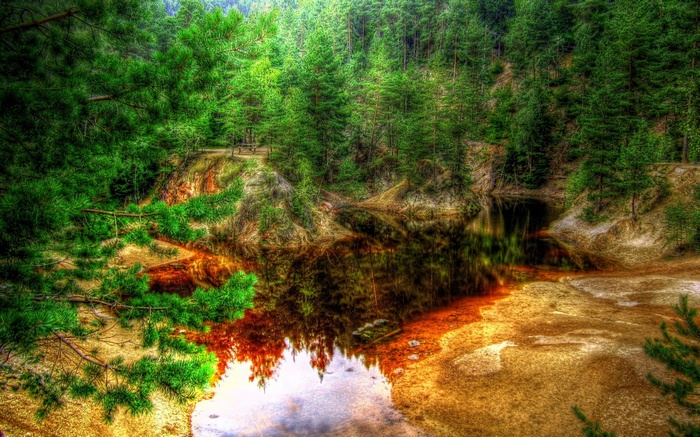 A forest lake with reddish-brown water and green trees