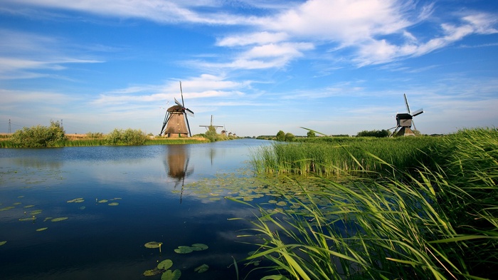 Windmills along a canal in the Netherlands