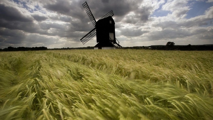 Windmill in a field of wheat under a cloudy sky