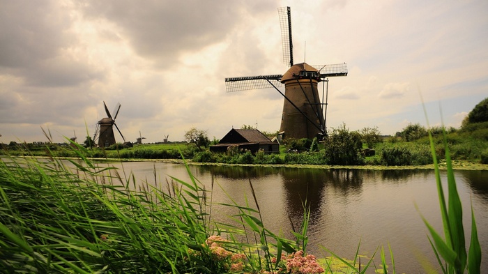 Windmills along a canal in the Netherlands