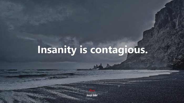 Insanity is contagious. | Joseph Heller quote