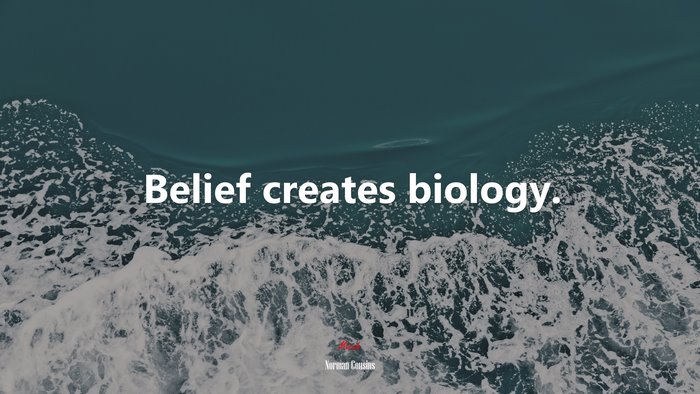 Belief creates biology. | Norman Cousins quote