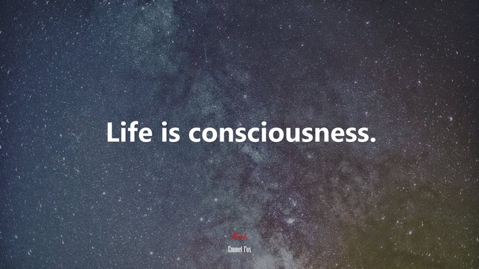 Life is consciousness. | Emmet Fox quote