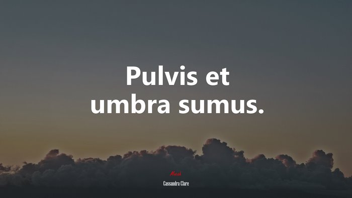Pulvis et umbra sumus. | Cassandra Clare quote